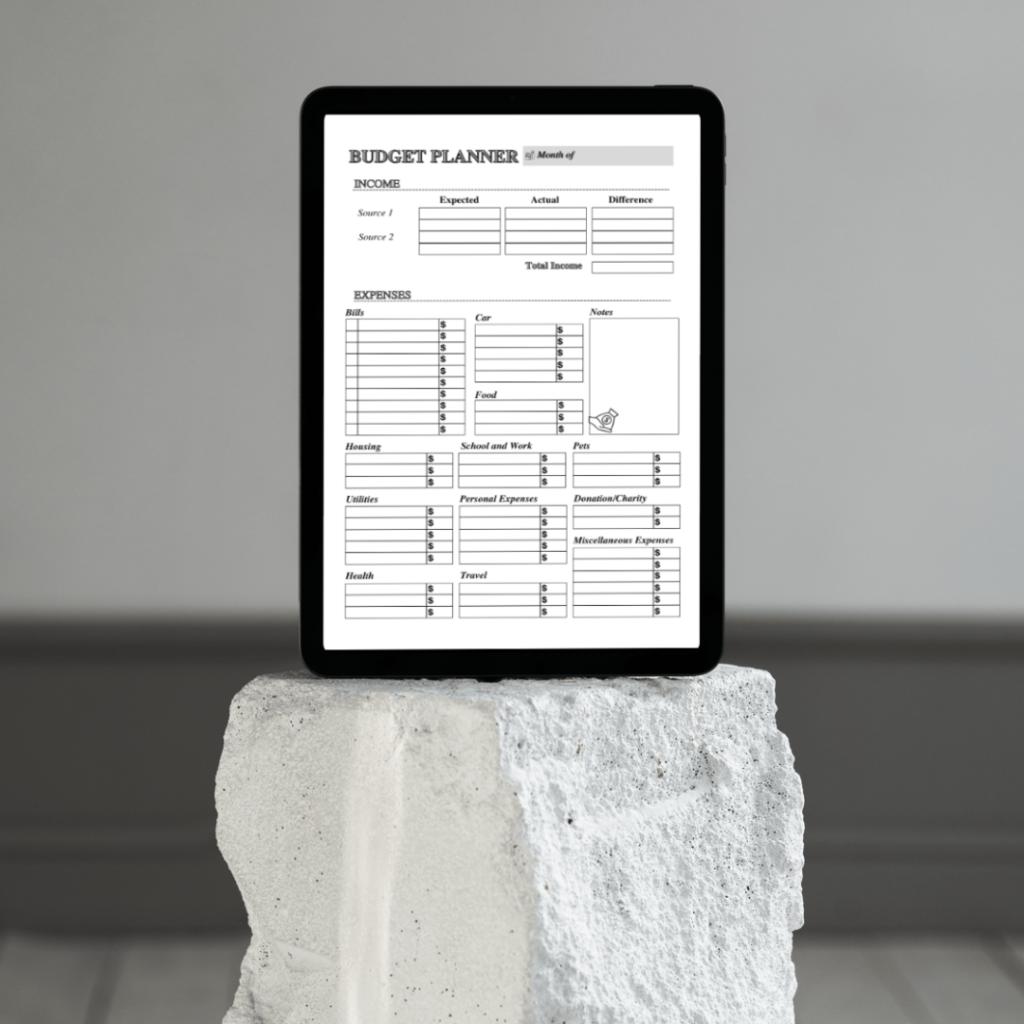 Budget Planner / Editable Canva Template