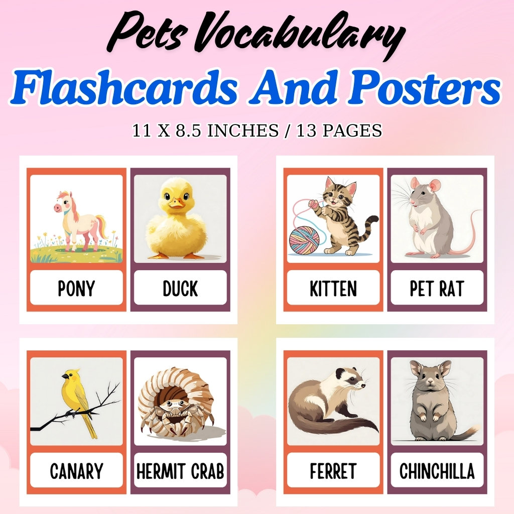 Pets Vocabulary Flashcards and Posters