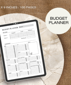 Budget Planner / Editable Canva Template