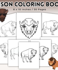 Bison Coloring Pages / Sheets of Bison Clipart {Coloring Book}