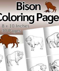 Bison Coloring Pages / Sheets of Bison Clipart {Coloring Book}