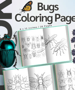 Bugs Coloring Pages / Sheets of Bugs Clipart {Coloring Book}