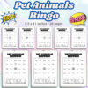 Pet Animals Bingo