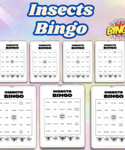 Insects Bingo