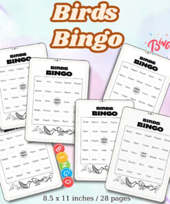 Birds Bingo