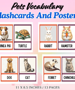 Pets Vocabulary Flashcards and Posters