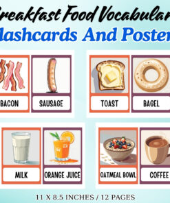 Breakfast Food Vocabulary Flashcards and Posters