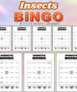 Insects Bingo