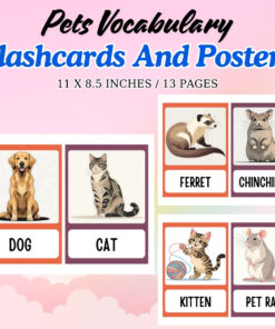Pets Vocabulary Flashcards and Posters