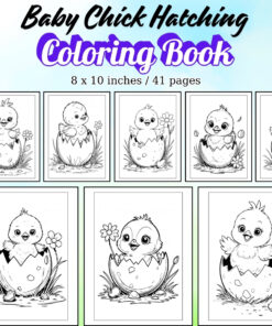 Baby Chick Hatching Coloring Pages / Sheets of Baby Chick Hatching {Coloring Book}